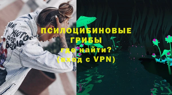 гидра Туринск